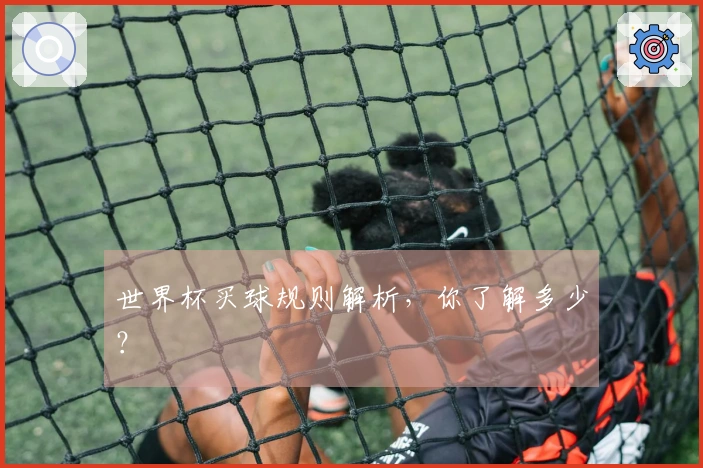 世界杯买球规则解析，你了解多少？