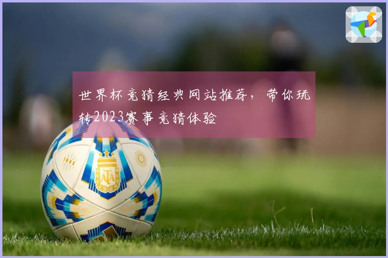 世界杯竞猜经典网站推荐，带你玩转2023赛事竞猜体验