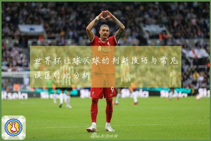 世界杯让球买球的判断技巧与常见误区对比分析