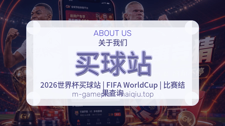 关于 买球站 团队与服务